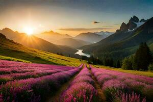 the sun rises over lavender fields in the mountains. AI-Generated photo