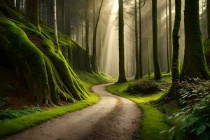 un camino mediante un bosque con cubierto de musgo arboles generado por ai foto