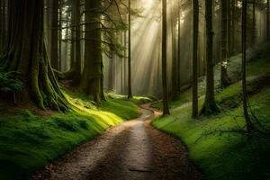 a path through a forest with sunlight shining down. AI-Generated photo