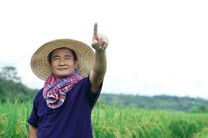 Asian man farmer is at paddy field, wears hat, blue shirt, Thai loincloth scarf, point finger up. Concept, Agriculture occupation Thai farmer. Copy space for adding text or advertisement. photo