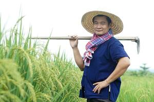 Asian man farmer is at paddy field, wears hat, blue shirt, Thai loincloth scraf on neck, carry a hoe on shoulder, put hand on hip. Concept, agriculture occupation. photo