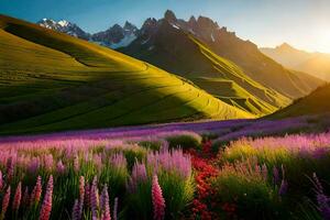 the sun rises over a field of wild flowers in the mountains. AI-Generated photo