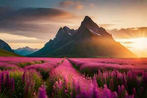 el Dom sube terminado un campo de púrpura flores en el montañas. generado por ai foto