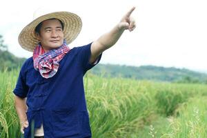 Asian man farmer wears hat, blue shirt, loincloth scarf, points finger to something at paddy field.           Concept, Agriculture occupation Thai farmer. Copy space for adding text or advertisement. photo