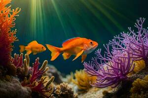 photo wallpaper sea, coral, fish, the sun, light, coral, fish, the ocean. AI-Generated