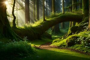 un camino mediante un bosque con arboles y rayos de sol generado por ai foto