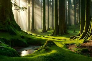 el Dom brilla mediante el arboles en un bosque. generado por ai foto