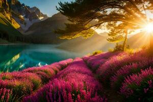 beautiful sunrise over lavender fields and mountains. AI-Generated photo