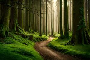 a path through a green forest with trees and moss. AI-Generated photo