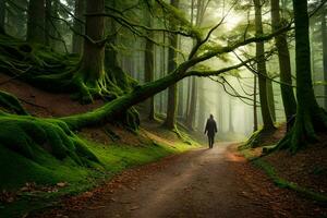 a man walking down a path in a forest with trees and moss. AI-Generated photo