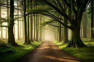 un camino mediante un bosque con arboles y niebla. generado por ai foto