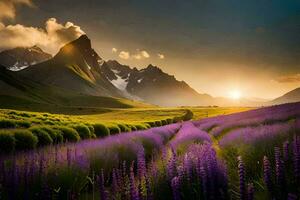 the sun rises over a lavender field in the mountains. AI-Generated photo