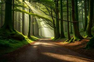 a dirt road in a green forest with sunbeams shining through the trees. AI-Generated photo