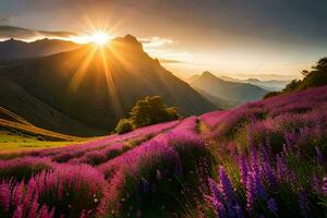 the sun rises over the lavender fields in the mountains. AI-Generated photo