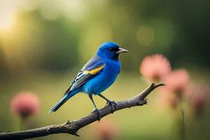 un azul pájaro sentado en un rama en frente de un campo. generado por ai foto