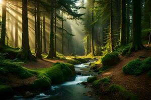 a stream runs through a forest with trees and moss. AI-Generated photo