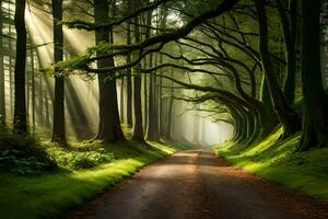 a road through a forest with trees and sunbeams. AI-Generated photo