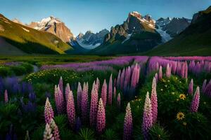 the lupine flowers are in full bloom in the mountains. AI-Generated photo