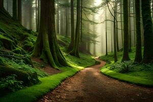 un camino mediante un verde bosque con arboles y musgo. generado por ai foto