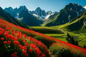 un campo de rojo flores en frente de montañas. generado por ai foto