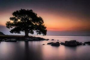 un solitario árbol soportes en el apuntalar de el Oceano a puesta de sol. generado por ai foto