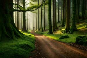 a dirt road in a green forest with trees. AI-Generated photo