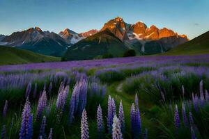 the sun rises over the mountains and the lupine fields. AI-Generated photo