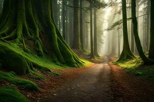 un camino mediante un bosque con cubierto de musgo arboles generado por ai foto