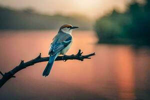 a bird sits on a branch near a lake. AI-Generated photo