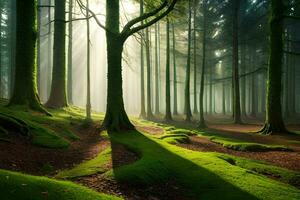 pared Arte - fotografía - bosque por James wyatt. generado por ai foto