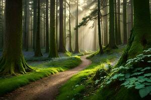 a path through a forest with sunlight shining through the trees. AI-Generated photo