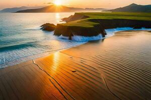 Grassy Shoreline Background