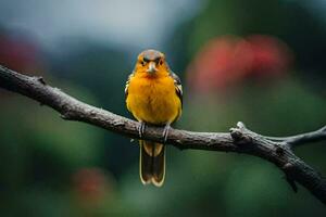 a small orange bird sitting on a branch. AI-Generated photo