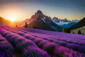 the sun rises over lavender fields in the mountains. AI-Generated photo