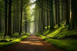 a path through a forest with trees and grass. AI-Generated photo