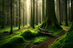 a bench sits in the middle of a green forest. AI-Generated photo