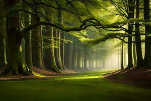 un camino mediante un bosque con arboles y césped. generado por ai foto