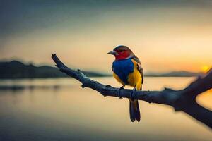 a colorful bird sits on a branch in front of the sunset. AI-Generated photo