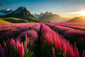 un campo de rosado flores y montañas a puesta de sol. generado por ai foto