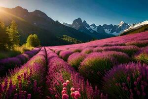 lavender field at sunset with mountains in the background. AI-Generated photo