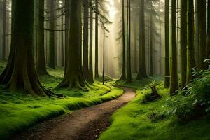 un camino mediante un bosque con alto arboles generado por ai foto