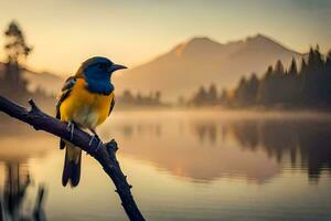 un azul y amarillo pájaro se sienta en un rama cerca un lago. generado por ai foto