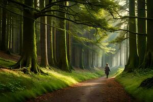 a person walking down a path in the middle of a forest. AI-Generated photo