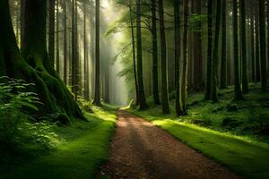 a path through a forest with trees and sunlight. AI-Generated photo
