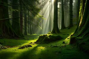 el Dom brilla mediante el arboles en un bosque. generado por ai foto