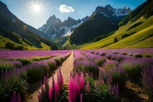 lavender field in the mountains with sun shining. AI-Generated photo