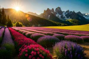 el Dom sube terminado un lavanda campo en el montañas. generado por ai foto