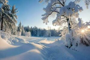 a snowy forest with trees and sun. AI-Generated photo