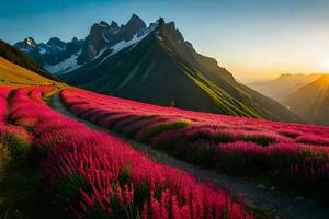 el Dom sube terminado un campo de rosado flores en el montañas. generado por ai foto