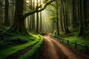 a path through a green forest with sunbeams shining down. AI-Generated photo